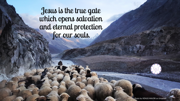 Like the shepherds of His time, Jesus acts as the gate for His followers. Through His gate we receive both salvation and protection for our souls. 