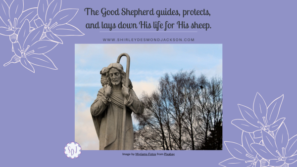 The Good Shepherd guides, protects, and lays down His life for His sheep.