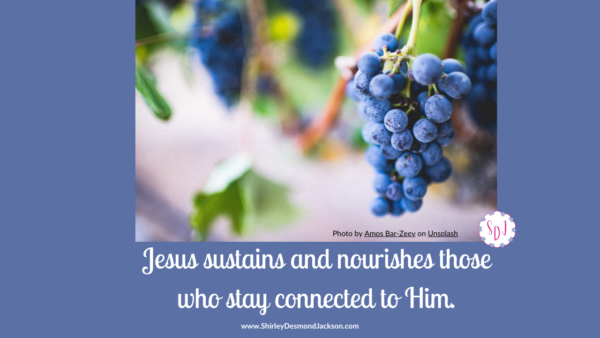 Jesus promises to spiritually nourish and sustain us so we can live godly lives which glorify God. All He asks is for us to stay connected to Him.