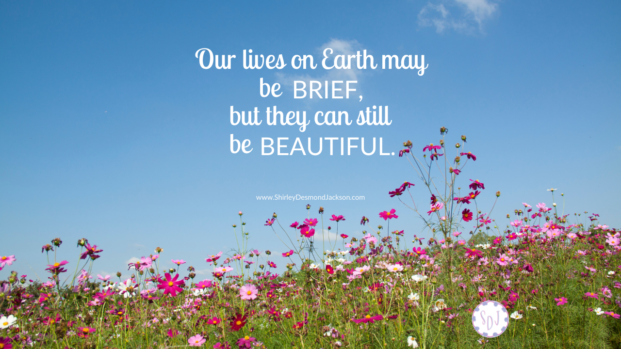 Our lives on earth are brief in comparison to eternity in Heaven. But we can still create beauty with them if we live with intentionality.